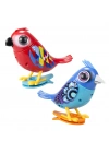 Digibirds İkili Paket Seri 2