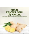 Doğal Diş Macunu 90 Gr Zencefil Özlü