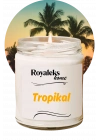 Doğal Özel Seri Kokulu Dekoratif Kavanoz Mum 210 cc - Tropikal Esans - RYL