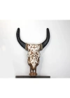 Duvara Asmalı Bufalo Kafası