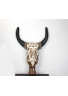 Duvara Asmalı Bufalo Kafası 4galıleo-6