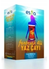 Fantastik 4 Lü Yaz Çayı 45 Li.