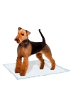 Ferplast Genico Köpek Tuvalet Eğitim Pedi Large 10 Adet 60x90 Cm
