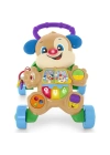 Fisher Price Eğitici Köpekçik Yürüteç (Türkçe) FTG10