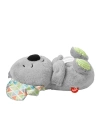 Fisher Price Uyku Arkadaşı Koala GRT59
