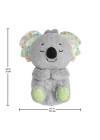 Fisher Price Uyku Arkadaşı Koala GRT59