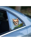 Fulcar Chiuahua Araç Stickerı