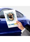 Fulcar French Bulldog Araç Stickerı