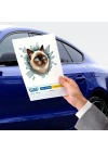 Fulcar Kedi Tasarımlı Araç Stickerı