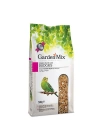 Garden Mix Muhabbet Kuşu Yemi 500 Gr