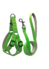 Gezdirme Kayışlı Dokuma Köpek Göğüs Tasma Seti 52*73-110 cm Neon Yeşil