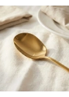 Gold Orta Boy Paslanmaz Çelik Servis Kaşığı & Profesyonel Sunum Gereci 21 cm