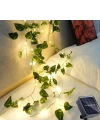 Güneş Enerjili Sarmaşık Led Dekor 5 Metre