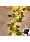 Güneş Enerjili Sarmaşık Led Dekor 5 Metre