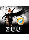 HAIKYU!! FLY HIGH 300 Elmas