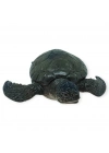 Hayvan Figürleri - Deniz Hayvanları 10 cm - Caretta