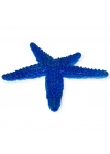 Hayvan Figürleri - Deniz Hayvanları 10 cm - Deniz Yıldızı