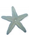 Hayvan Figürleri - Deniz Hayvanları 10 cm - Deniz Yıldızı