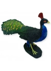 Hayvan Figürleri - Kuşlar -18 cm Tavus Kuşu