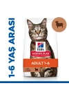 Hills Adult Kuzu Etli Yetişkin Kedi Maması 8+2 Kg