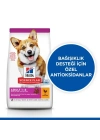 Hills Adult Small Miniature Tavuklu Küçük Irk Köpek Maması 1.5 Kg