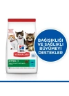 Hills Kitten Ton Balıklı Yavru Kedi Maması 5+2 Kg Hediyeli