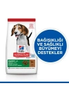 Hills Puppy Kuzu Etli Yavru Köpek Maması 12+2 Kg Hediyeli