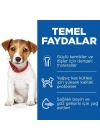Hills Puppy Small & Mini Kuzu Etli Küçük Irk Yavru Köpek Maması 6 Kg