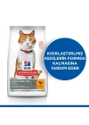 Hills Young Sterilised Tavuklu Kısırlaştırılmış Kedi Maması 8+2 Kg