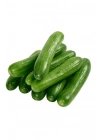 Hıyar Tohumu 20 Gr