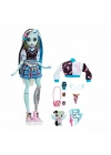 HPD53 Monster High Ana Karakter Bebekler
