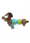 HTW91  Köpekçikle Eğlenceli Aktiviteler