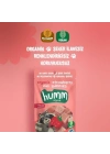 Humm Organik Çilekli Glutensiz Vegan Mini Küpler 30 Gr