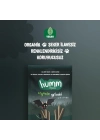 Humm Organik Vegan Zeytinli Grissini 55 Gr