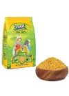 Jungle Kuş Maması 100 Gr 12li Paket