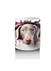 Kalpli Çatlakta Bakan Pembe Burunlu Weimaraner – Baskılı Kahve Kupası