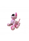 KEDİ 6602 KUMANDALI ROBOT KEDİ