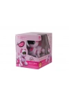 KEDİ 6602 KUMANDALI ROBOT KEDİ