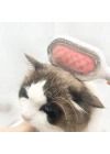 Kedi Köpek Tüy Toplama Tarağı