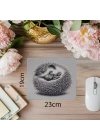 Kendine Kapanmış Kirpi Mousepad – El Çizimi - 19x23 cm 2 mm Dikdörtgen İthal Baskılı Mouse Pad