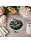 Kıvrılmış Kedi Portresi Mousepad - 19x23 cm 2 mm Dikdörtgen İthal Baskılı Mouse Pad
