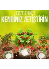 ®  Konserve Bahçem Evde Konservede Fındık Turp Yetiştirme Kiti