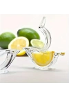 Kuş Şeklinde Sunumluk Limon Sıkacağı