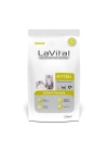 Lavital Kitten Somonlu Yavru Kedi Maması 1.5 Kg