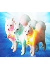 Mavi Renk Neon Led Işıklı Kedi Köpek Kolyesi (18,5 cm)