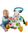 Melodili Yürüteç Zebra DLD80