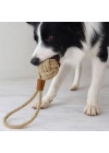Mikopet Köpek Oyun Topu