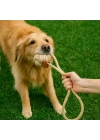 Mikopet Köpek Oyun Topu