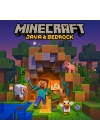 Minecraft Java Bedrock Edition