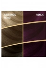 Naturals Saç Boyası Kızıl Kestane 3/66 2x Paket